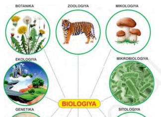 Biologiya – hayot haqidagi fan 1- rasm. Biologiya fani sohalari.