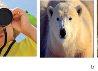 Biologiyaning o‘ rganish usullari 7-rasm. Kuzatish (a) va taqqoslash (b) usuli.